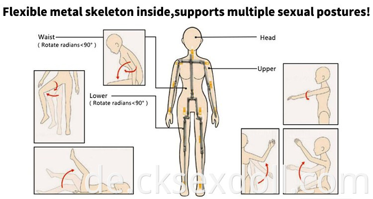 Skeleton